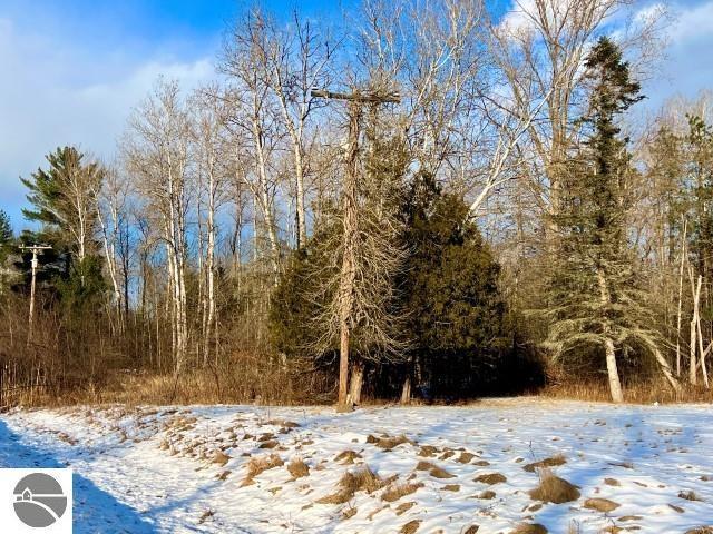 view of snow covered land