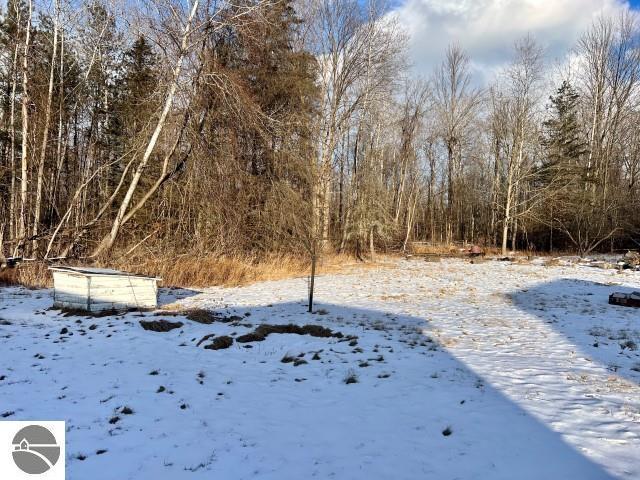 view of yard layered in snow