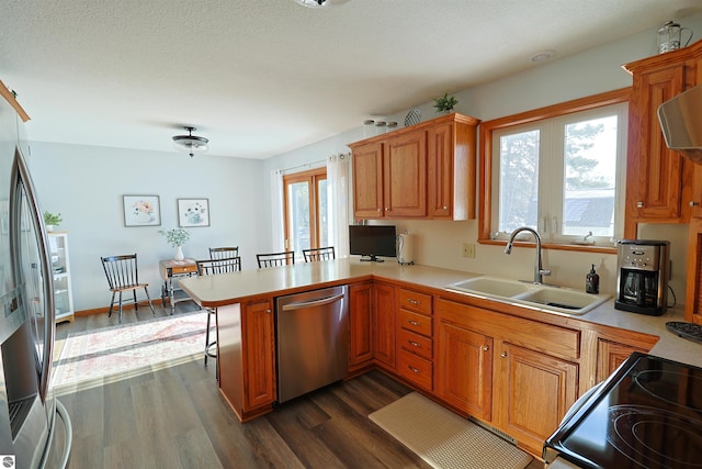 kitchen featuring a wealth of natural light, appliances with stainless steel finishes, dark hardwood / wood-style flooring, sink, and kitchen peninsula