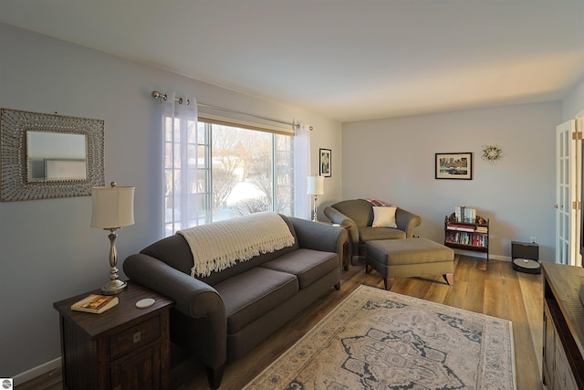 living room with hardwood / wood-style flooring