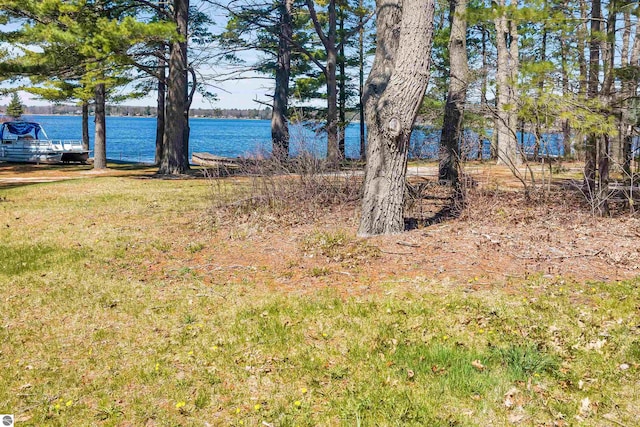 view of yard with a water view