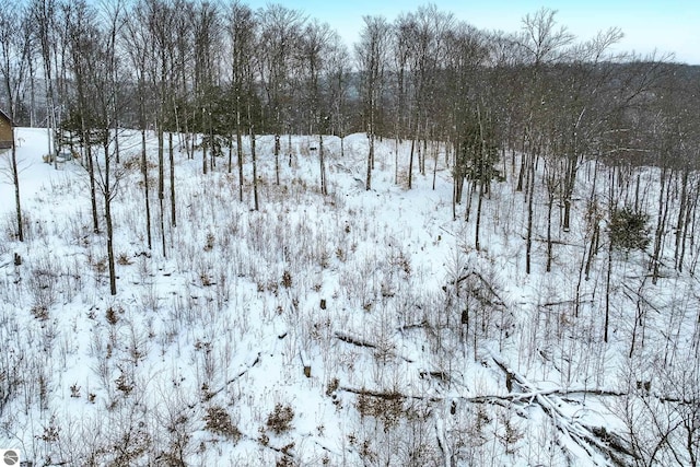 LOT11 Connemara Dr, Boyne City, MI 49712