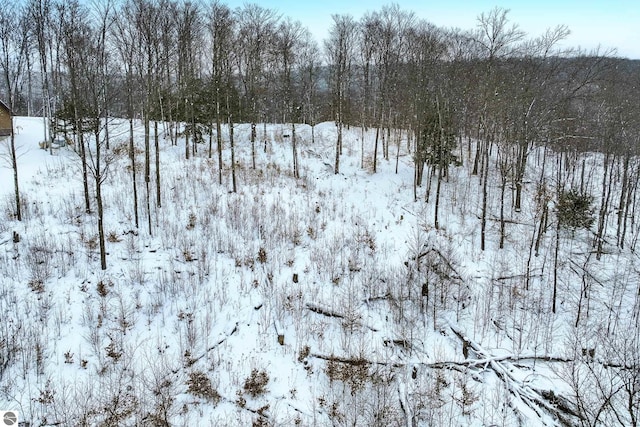 LOT11 Connemara Dr, Boyne City MI, 49712 land for sale