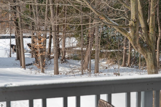 view of snowy yard