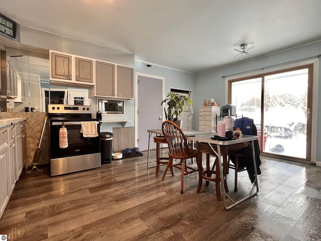 dining space featuring dark hardwood / wood-style flooring