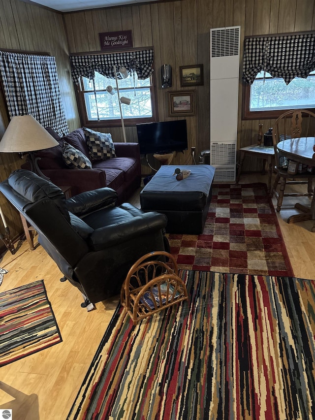 living room with plenty of natural light and wooden walls