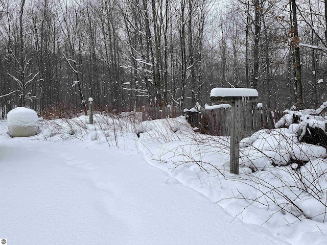 view of snowy landscape