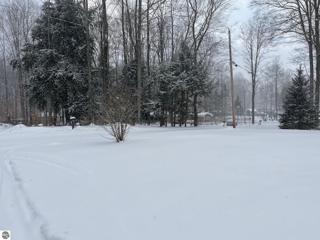 view of yard covered in snow