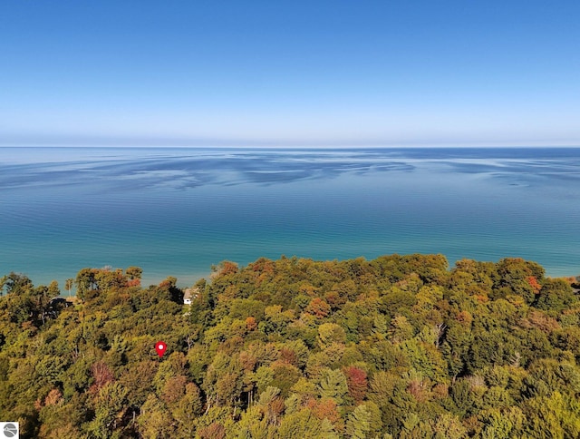 Listing photo 3 for LOT92 Ridge Dr, Frankfort MI 49635