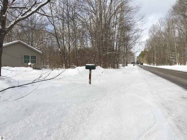 view of yard covered in snow