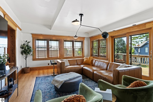 living room with plenty of natural light and light wood-type flooring