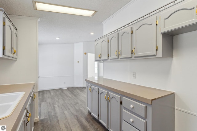 kitchen with hardwood / wood-style floors, gray cabinets, sink, and a textured ceiling