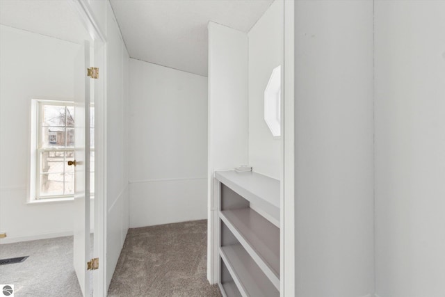 walk in closet featuring carpet floors