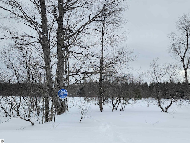 Listing photo 2 for LOT161 Wyckerly Dr, Mancelona MI 49659