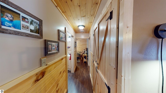 corridor featuring dark hardwood / wood-style flooring, wood ceiling, and wood walls