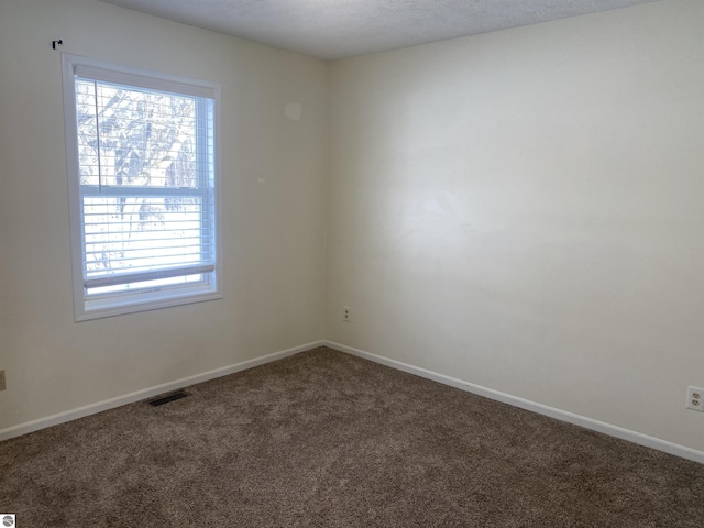 empty room featuring carpet flooring and a textured ceiling