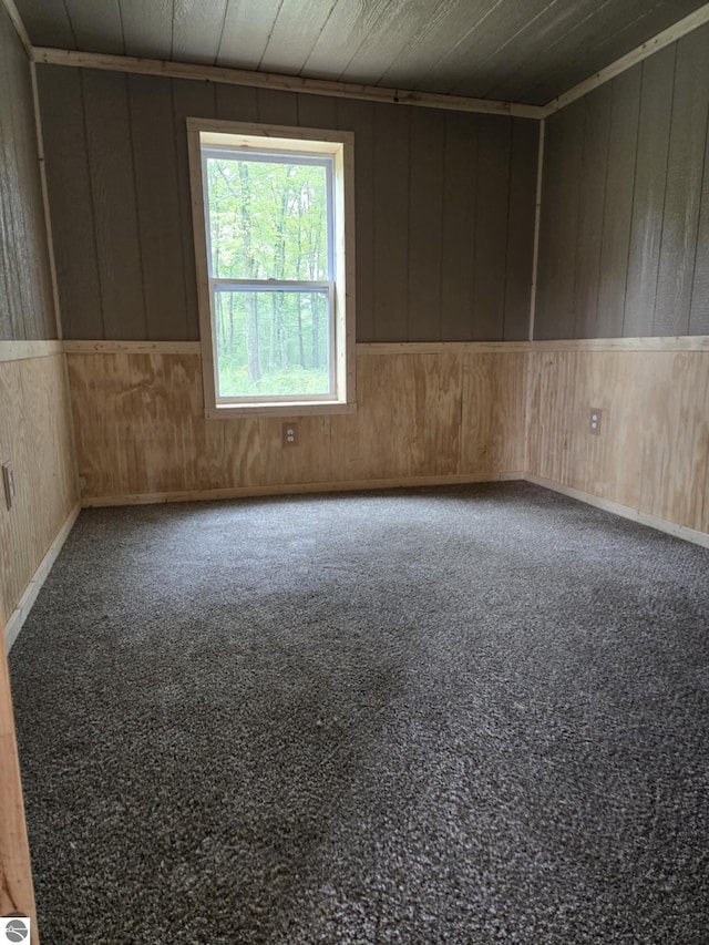 carpeted empty room featuring wood walls