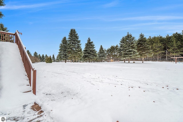 view of yard covered in snow