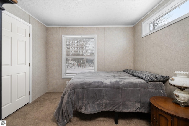 carpeted bedroom with crown molding and a textured ceiling