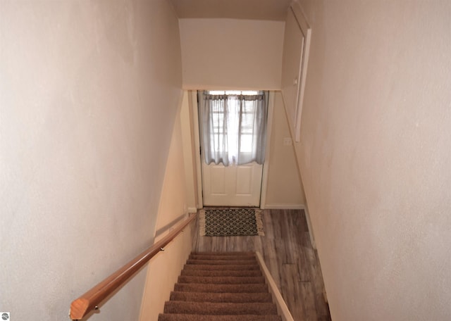 staircase with hardwood / wood-style flooring