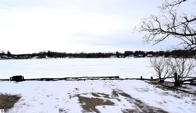 view of yard covered in snow