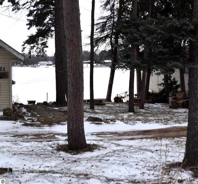 view of yard covered in snow