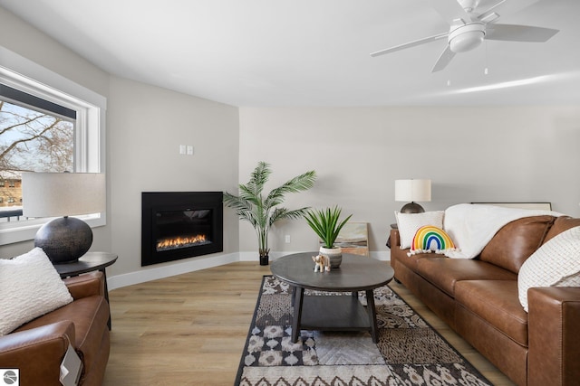 living room with ceiling fan and light hardwood / wood-style floors