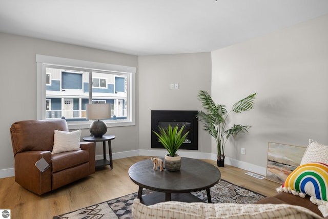 living room featuring light wood-type flooring