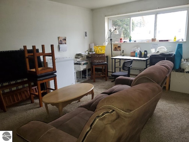 living room featuring carpet flooring