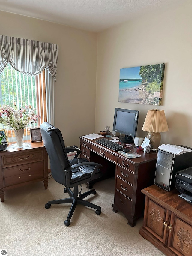 view of carpeted office