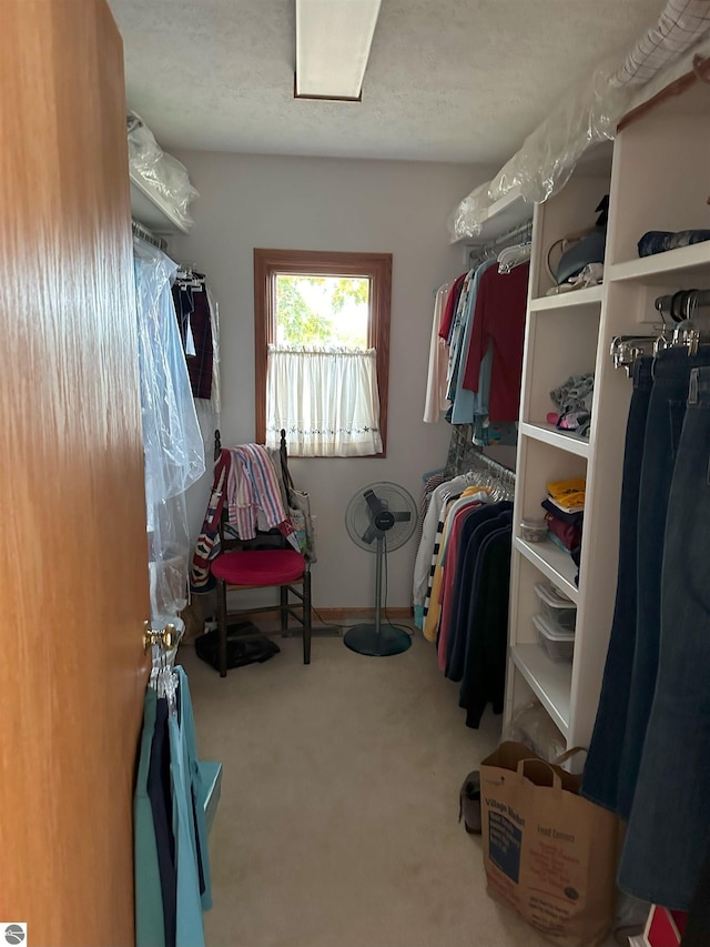 walk in closet with carpet floors