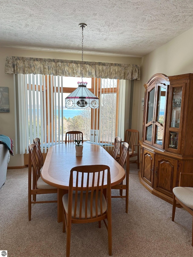 carpeted dining room with a textured ceiling