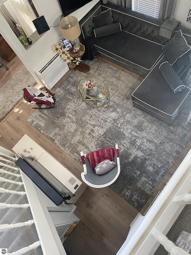 living room featuring hardwood / wood-style floors