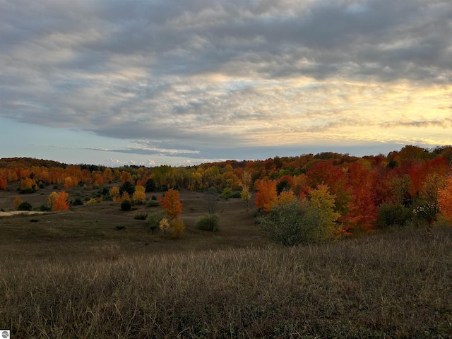 view of nature at dusk