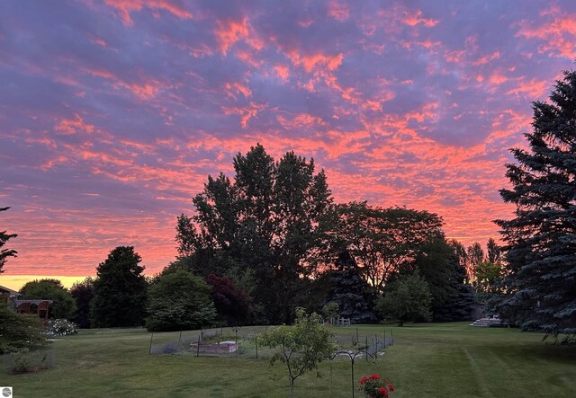 view of yard at dusk