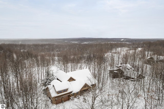 view of snowy aerial view