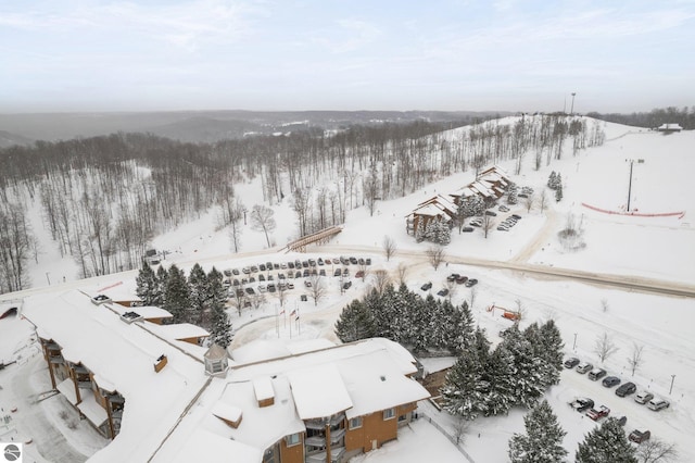 view of snowy aerial view