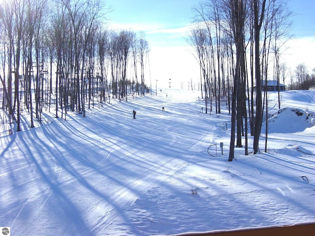 view of yard covered in snow