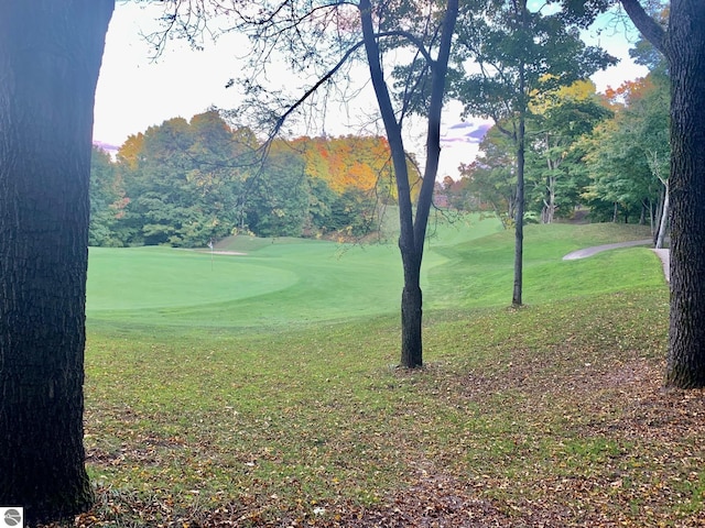 view of property's community featuring a lawn