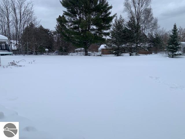 view of snowy yard