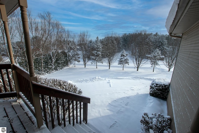 view of yard covered in snow