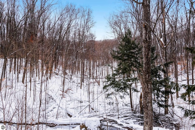 view of snowy landscape