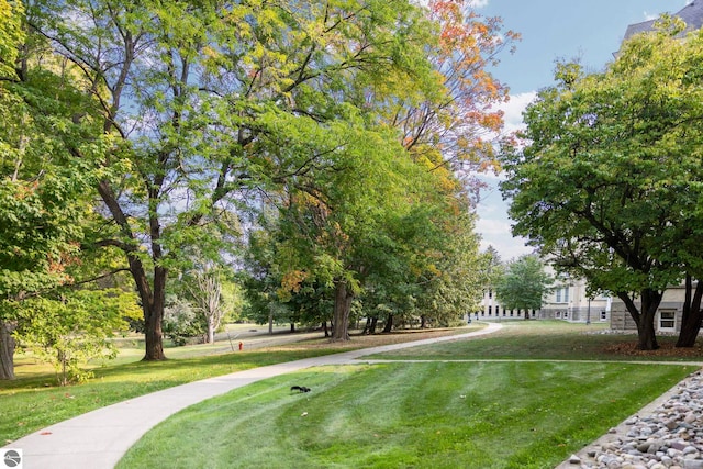 view of property's community featuring a yard