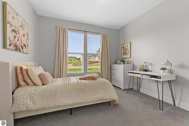 bedroom with carpet floors