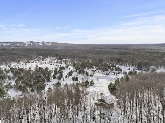 snowy aerial view with a mountain view