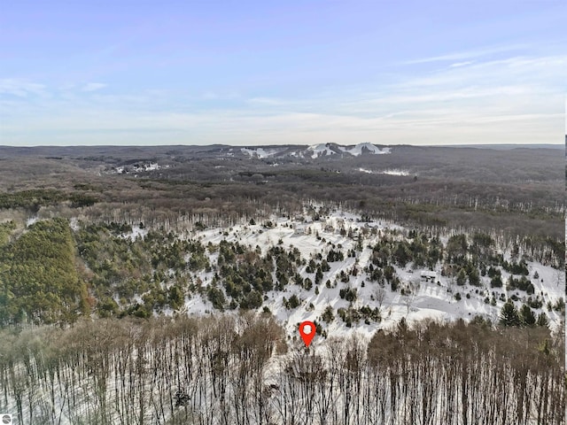 snowy aerial view featuring a mountain view