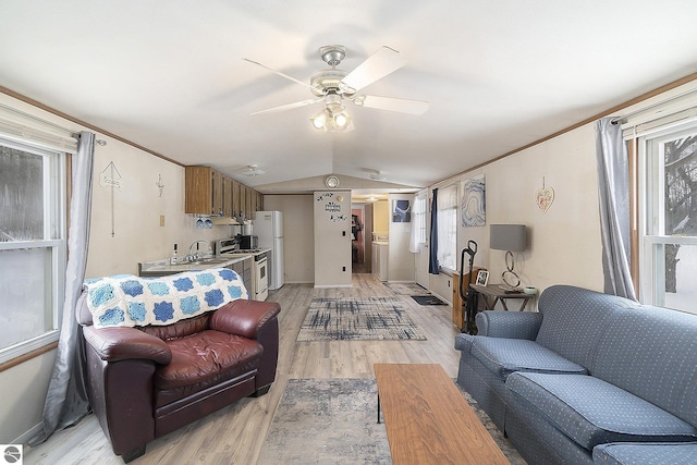 living room featuring lofted ceiling, sink, ornamental molding, ceiling fan, and light wood-type flooring