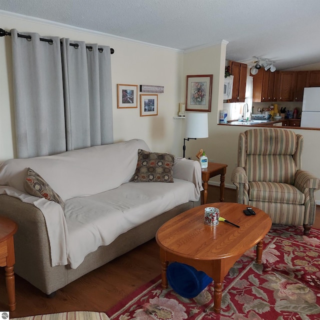 living room featuring sink, crown molding, wood-type flooring, and a textured ceiling