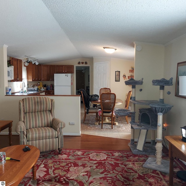 living room featuring lofted ceiling, sink, a textured ceiling, and light wood-type flooring