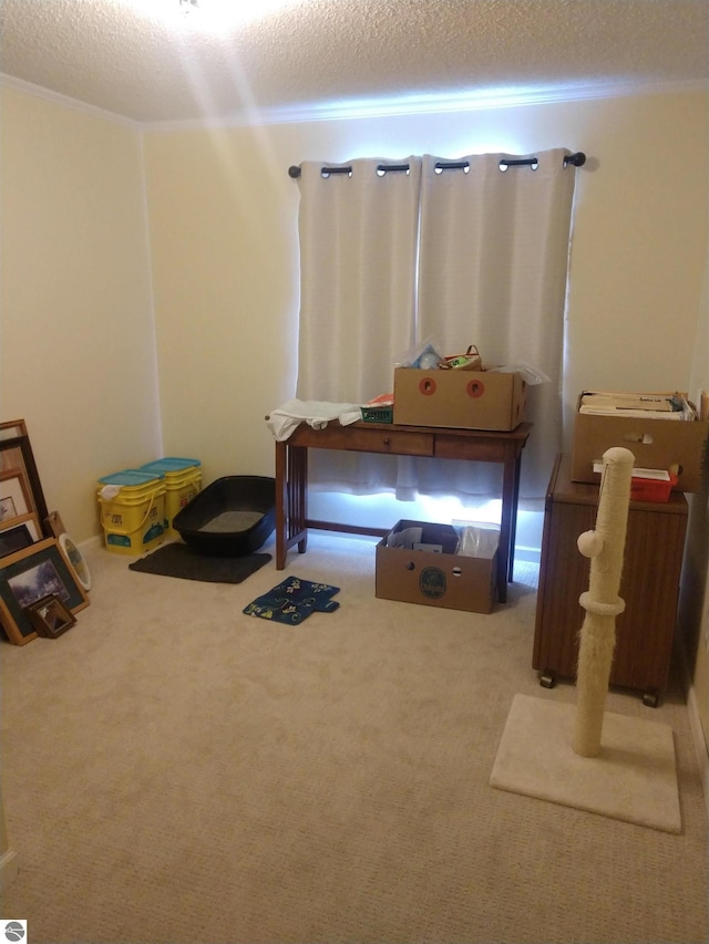 interior space with carpet flooring and a textured ceiling